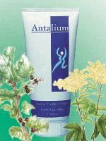 Antalium